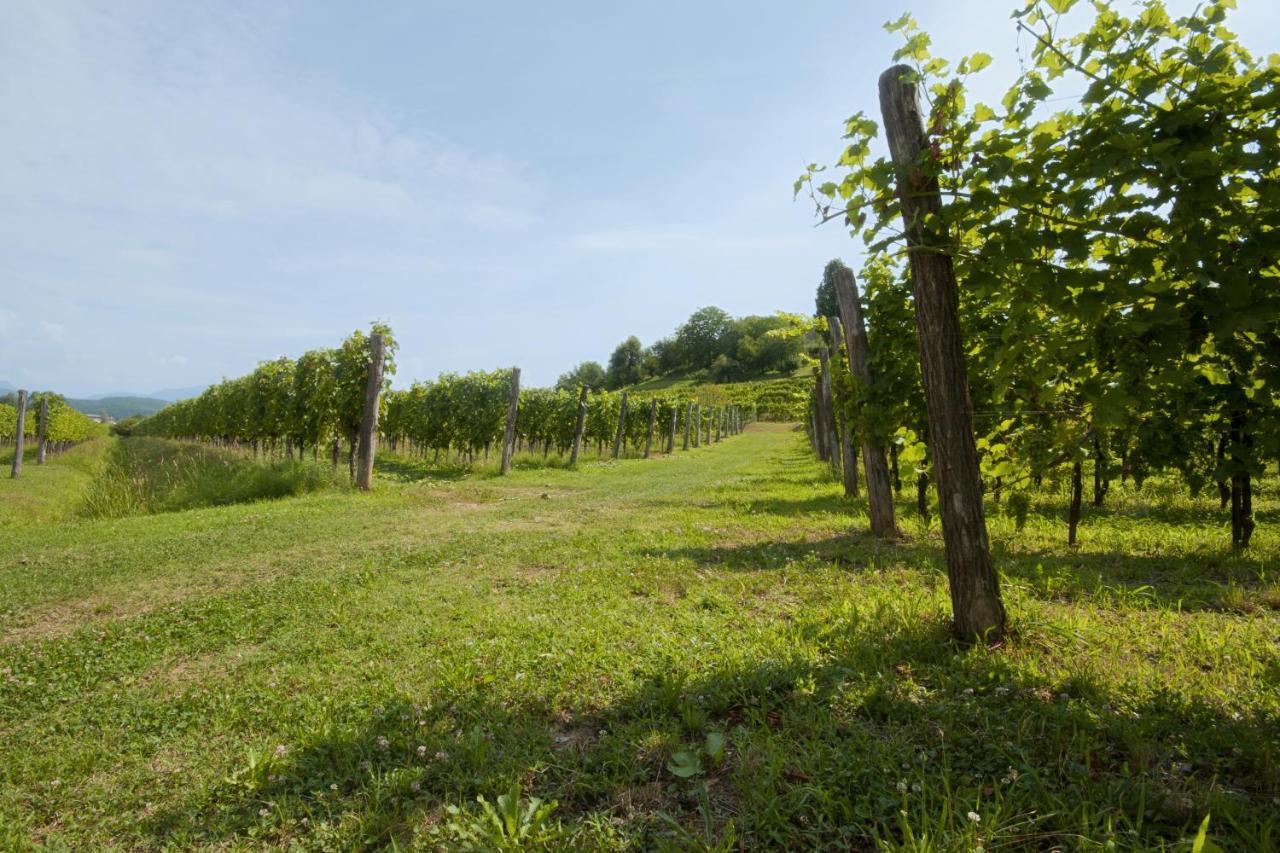 Alloggio Agrituristico Corte San Biagio Corno di Rosazzo Exterior photo